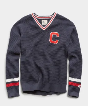 Champion V-Neck Cricket Sweater in Navy