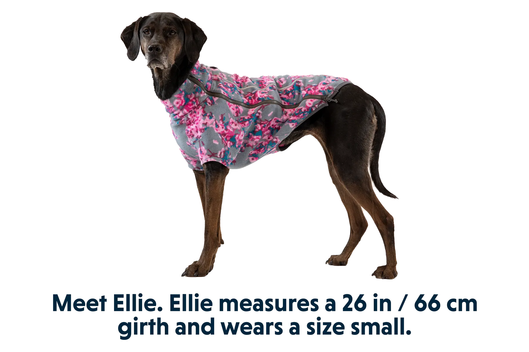 Climate Changer™ Dog Fleece