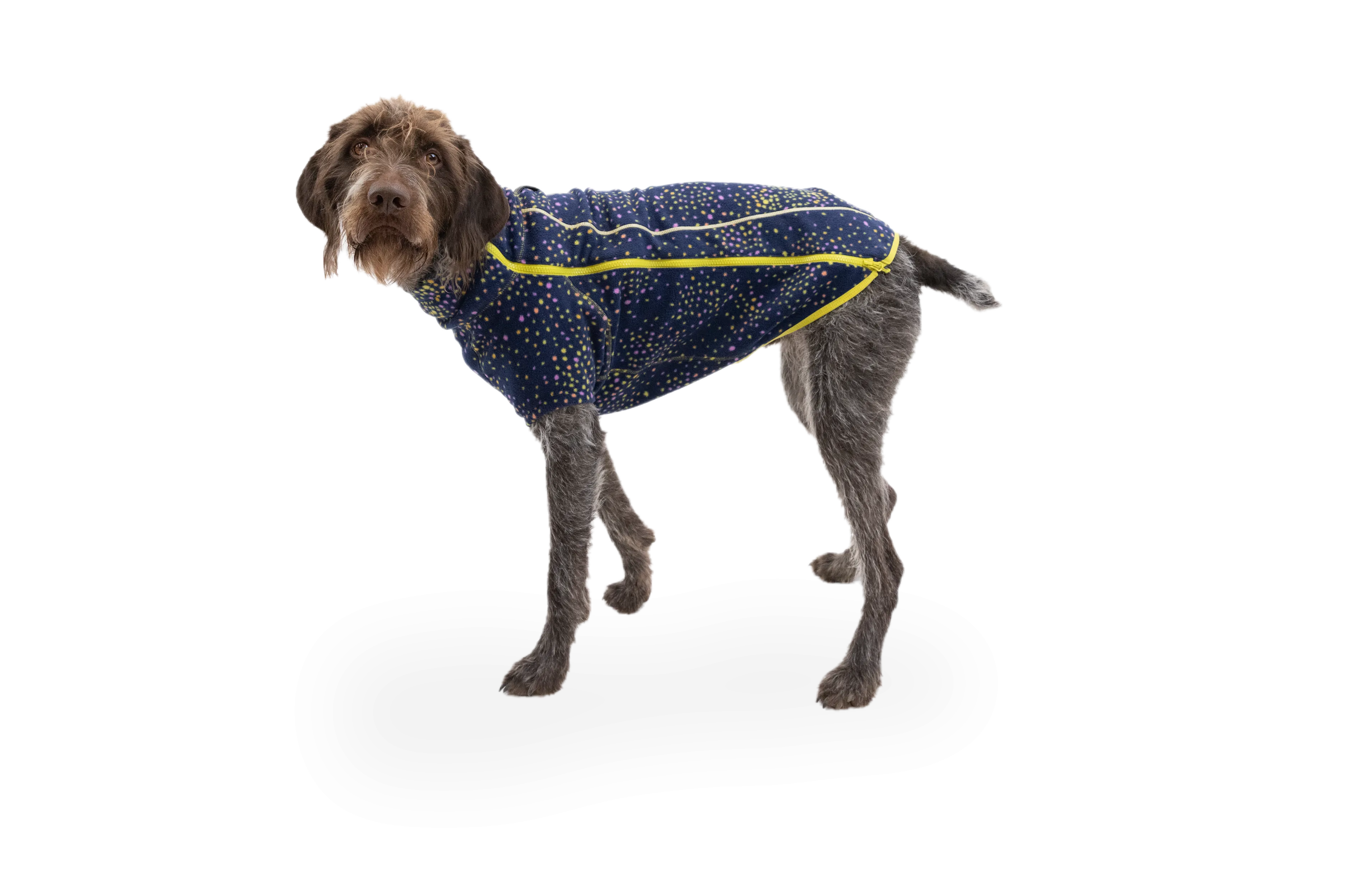 Climate Changer™ Dog Fleece