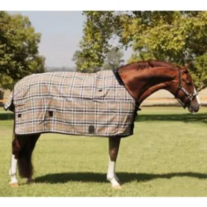 Kensington 4 Seasons 3-in-1 Layering Blanket System